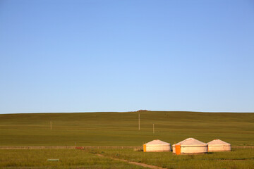 Traditional Gers in the steppe, Mongolia