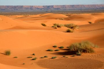 Dunes in Erg Chebbi, Merzouga, Morocco