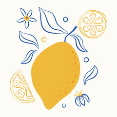Hand drawn lemon sketch style. Modern botanical illustration lemon fruits with leaves and flowers. Doodle hand drawn citrus. Vector illustration 