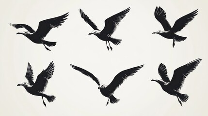 Set of seagull silhouette vector illustration