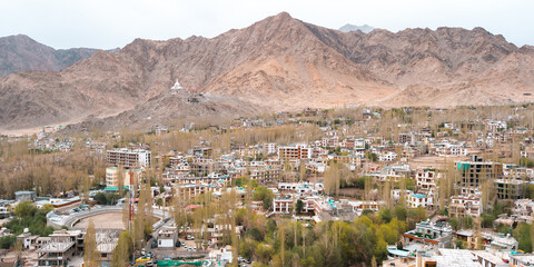 A scenic view of Leh town nestled in the rugged Himalayas, surrounded by dramatic brown mountains...