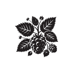 Blackberry Vector (2).eps