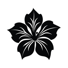 Elegant Person with Geometric Sunburst Black and White