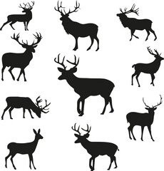 Set of 10 Deer Vector Bundle Pack
