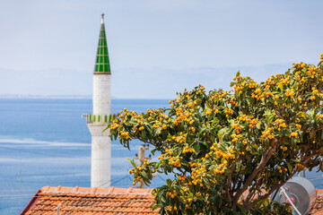 Fototapete bei efototapeten.de bestellen   