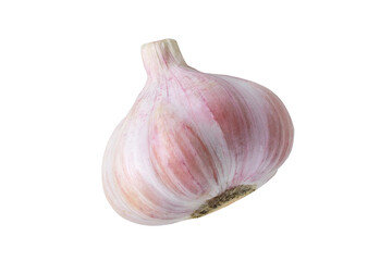 Garlic on isolated white background. Whole garlic.