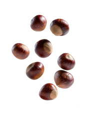 Obraz premium Scattered chestnuts with their glossy brown s are captured against a pristine white background, showcasing their smooth surfaces and natural round shapes perfectly.