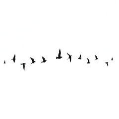 Flying birds silhouettes on white background. Vector illustration. isolated bird flying. tattoo design.