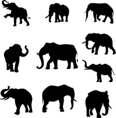 Set of 10 Elephant Animal silhouette Vector File