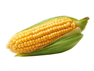 Isolated close-up showcases a vibrant ear of yellow sweetcorn, still partially wrapped in its green husk, against a crisp, clean white background.