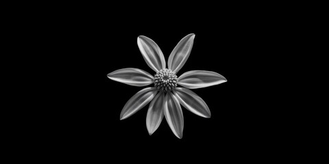 Monochrome star flower, stark contrast against black backdrop,  high contrast,  minimalist