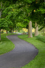 Obraz premium asphalt walk and bike path in the city park 