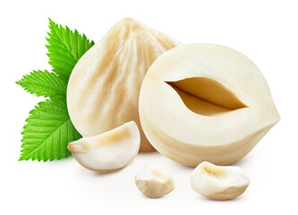 Hazelnuts with green leaves isolated on white background