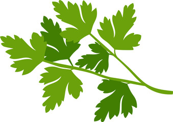 Parsley - vitamin greens for vegetarian nutrition. Flat cartoon drawing.