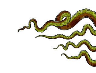 Green octopus tentacles reaching upwards, squid-like marine animal body parts protruding from out of frame, cut for food or frame design, cartoon colour sketch anime monster illustration.