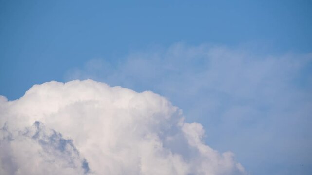 Timelapse Clouds in the sky. A huge fluffy cumulus cloud rises majestically against a clear blue sky. The light texture resembles cotton wool and conveys a sense of calm and lightness.
