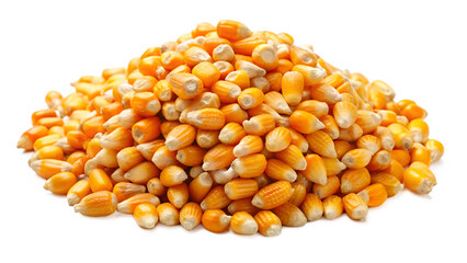 corn seeds isolated on white