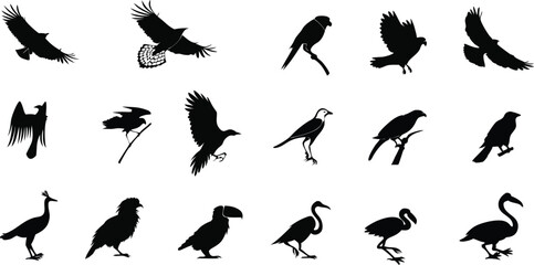 Obraz premium Elegant Bird Silhouette Design Perfect for Branding Logos and Iconography