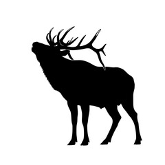 Majestic Bugling Bull Elk Silhouette
