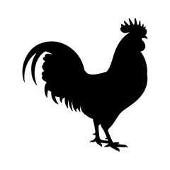 Silhouette of a rooster standing with its head up and tail feathers displayed on a white background
