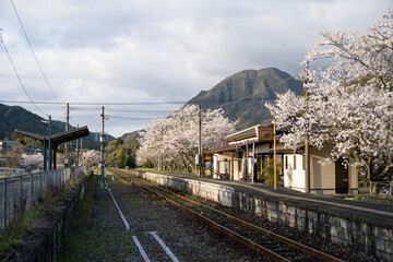 桜咲く春の日田彦山線の採銅所駅