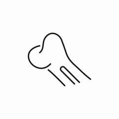 bone anatomy icon sign vector