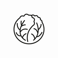 cabbage head vegetable icon sign vector