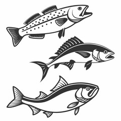Fish Vector 