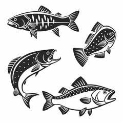 Fototapeta premium Fish Vector 