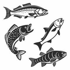 Fototapeta premium Fish Vector 