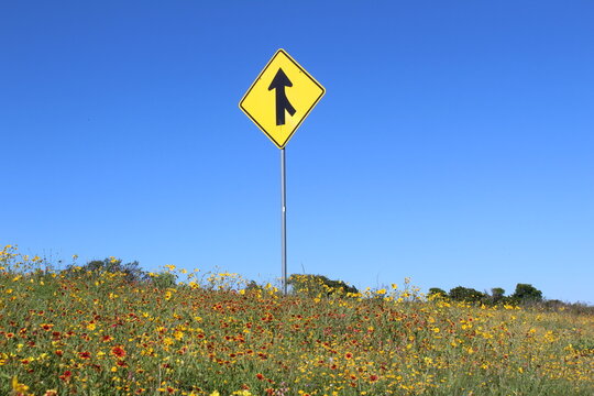 white and black road sign with flowers - Powered by Adobe