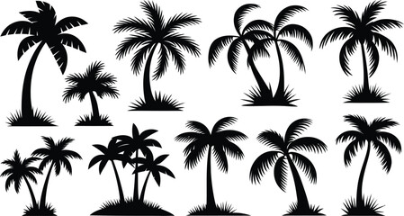 palm trees silhouette set, tropical coconut, isolated on white background