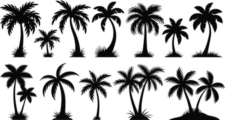 palm trees silhouette set, tropical coconut, isolated on white background