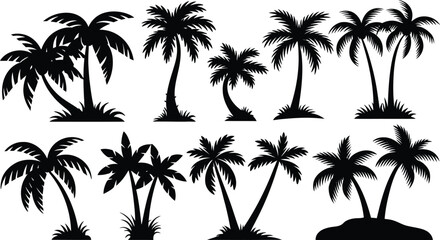 Fototapeta premium palm trees silhouette set, tropical coconut, isolated on white background