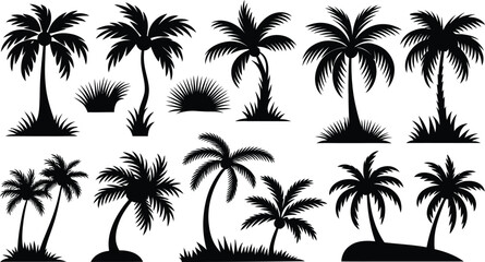 palm trees silhouette set, tropical coconut, isolated on white background