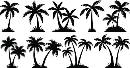 palm trees silhouette set, tropical coconut, isolated on white background