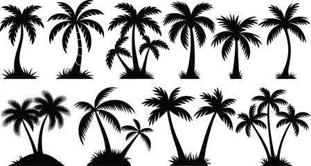 Fototapeta premium palm trees silhouette set, tropical coconut, isolated on white background
