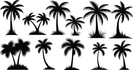 palm trees silhouette set, tropical coconut, isolated on white background