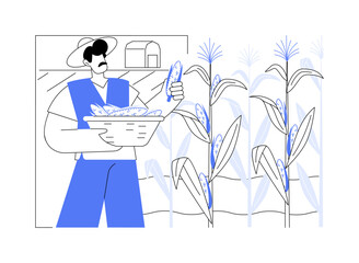 Corn production isolated cartoon vector illustrations.