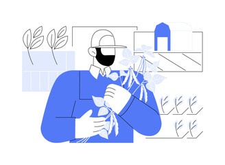 Soybean crops isolated cartoon vector illustrations.