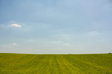 landscape grass cloud nature hill country summer