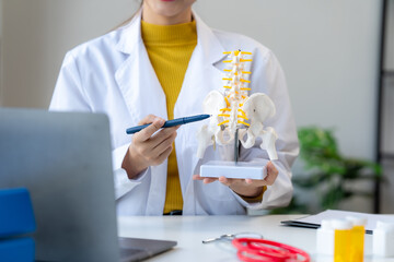 Doctor Explaining Spinal Anatomy with Model
