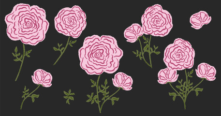 Set chalk rose, peony flowers. Botanic blossom floral branches, leaves, bud on stem. Hand drawn garden peonies or roses plant collection. Freehand vintage pencil textured vector illustration isolated