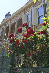 Fototapeta premium old house with flowers