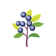 Vibrant Illustration of Ripe Bilberries Perfect for Culinary Botanical and Nature Designs