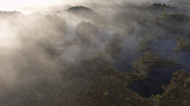 Smoke from the forest lake in Laugas swamp