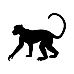 Monkey silhouette vector illustration jungle animal primate wildlife zoo mammal ape black design graphic art vector