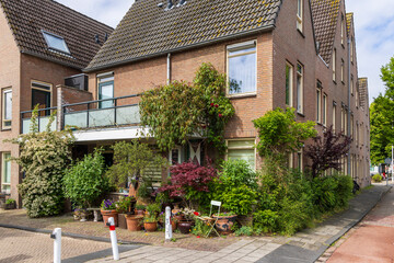 Urban greening in front of modern hosues in Leiden in South-Holland in The Netherlands
