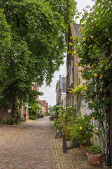 Urban greening with pots, plants and flowers in front of the houses in Leiden in South-Holland in The Netherlands