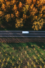 Truck driving along the road through forest landscape in autumn, aerial shot from drone pov